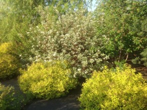 image (1)57